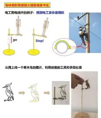 跨学科学习课程设计及反思系列(3):动物爬绳4