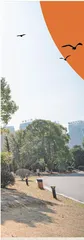 诗意江西 弦歌不辍抚篇 2