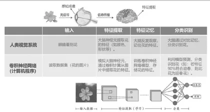 基于思维培养的人工智能实验教学探索2