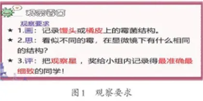 引入生活情境教学《观察微生物》