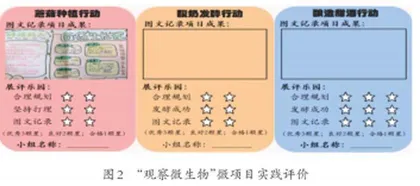 引入生活情境教学《观察微生物》1