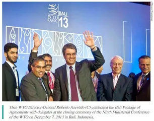 World Trade Organization Reform and the Role of the Global South