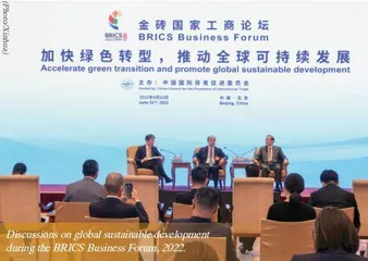 BRICS Cooperation in Global Governance