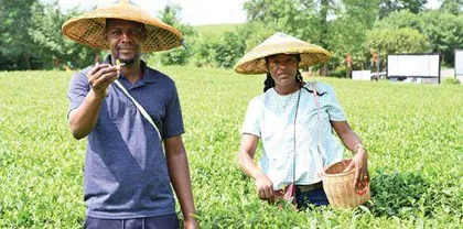 Interpretation of Namibia Politics and the Need to Intensify Agriculture for Economic Transition in Africa, a Lesson to Learn from China