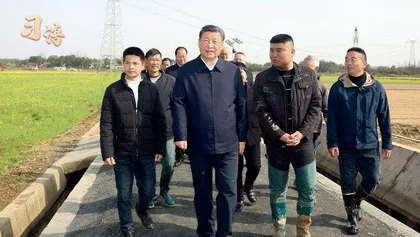 系列视频:习语5