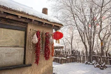 落在父亲生命中的雪