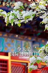 国际博物馆日，人民系媒体创意十足4