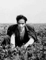 县委书记的榜样1