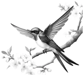春燕归来