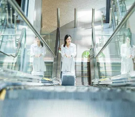 废止“左行右立”：从文明误区到科学治理的进阶之路3