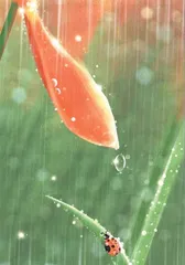 去雨中漫步