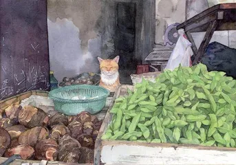 老巷子与旧时光7