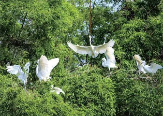 南京:幸福城市的“绣花功夫”2