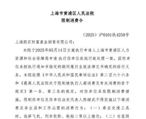 凯石基金：董事长被“限消”公募业务承压