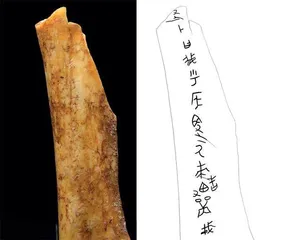 寻找西岐7