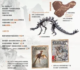 中国恐龙大展： 一眼看亿年