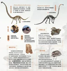 中国恐龙大展: 一眼看亿年1