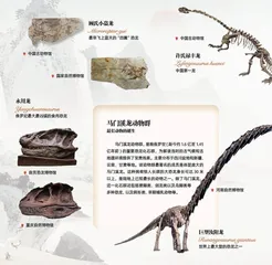 中国恐龙大展: 一眼看亿年2