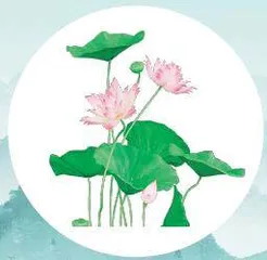 吃莲的好处，你了解吗