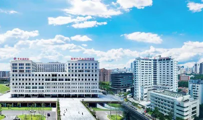  延续红色基因“国妇婴”依托党建激活新动能