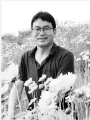 “森林”与"树木”：单元视域下的单篇教学 