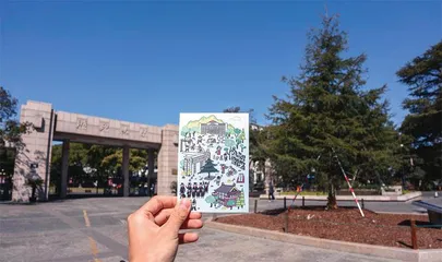 报告树