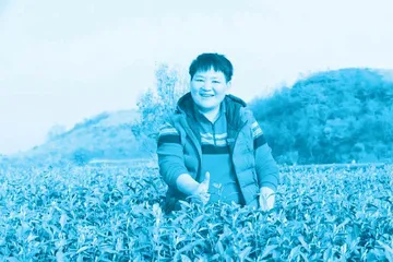 “最美巾帼奋斗者”黄红缨：茶海逐梦，田野追光