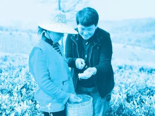 “最美巾帼奋斗者”黄红缨：茶海逐梦，田野追光1