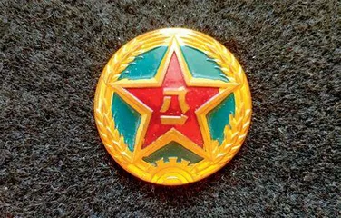 闪耀的红星9