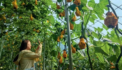 特色节庆与科技赋能共绘“诗与远方”新图景
