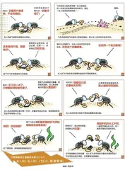 漫画轻兵器之二十六无人机！无人机！（14）2