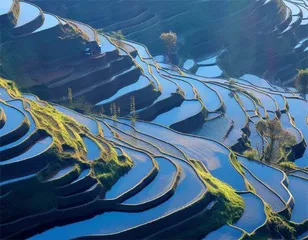 守望千年农耕文明2