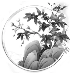 智慧的经纬 