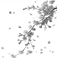 《莺莺传》与《杜十娘怒沉百宝箱》 对比研究