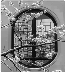 读经典， 品朱自清散文特色