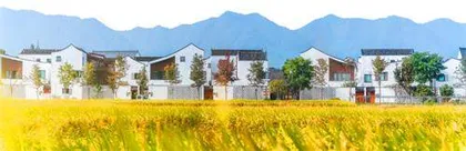 活在乡土的中国