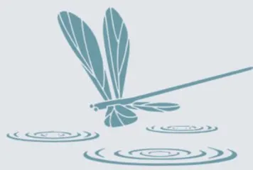 石头说出的话 （组诗） 