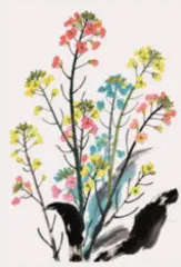 彩色油菜花