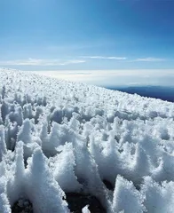 慢行至雪2