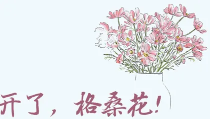 开了，格桑花