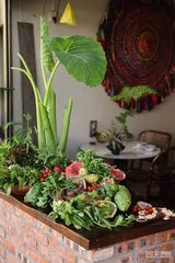 普洱夏季餐桌：植物盛宴4