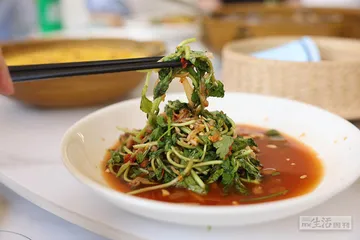 普洱夏季餐桌：植物盛宴7