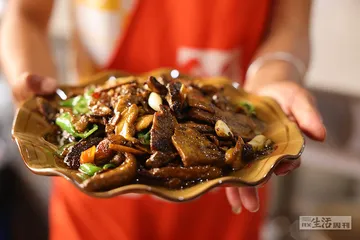 野生菌哲学2