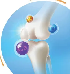 骨骼健康离不开生活养护 