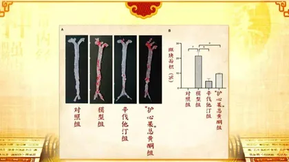 红色鲜果巧护心1