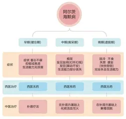 守护银发记忆