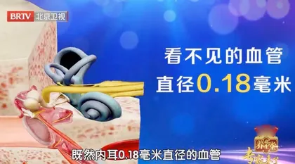 别忽视“警犬”血管的提示信号