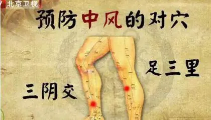 对穴对药防中风1