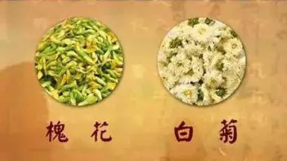 对穴对药防中风2
