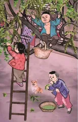 春食榆叶留清香